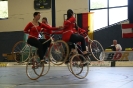 IBRMV 2009_22