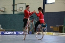 IBRMV 2009_8